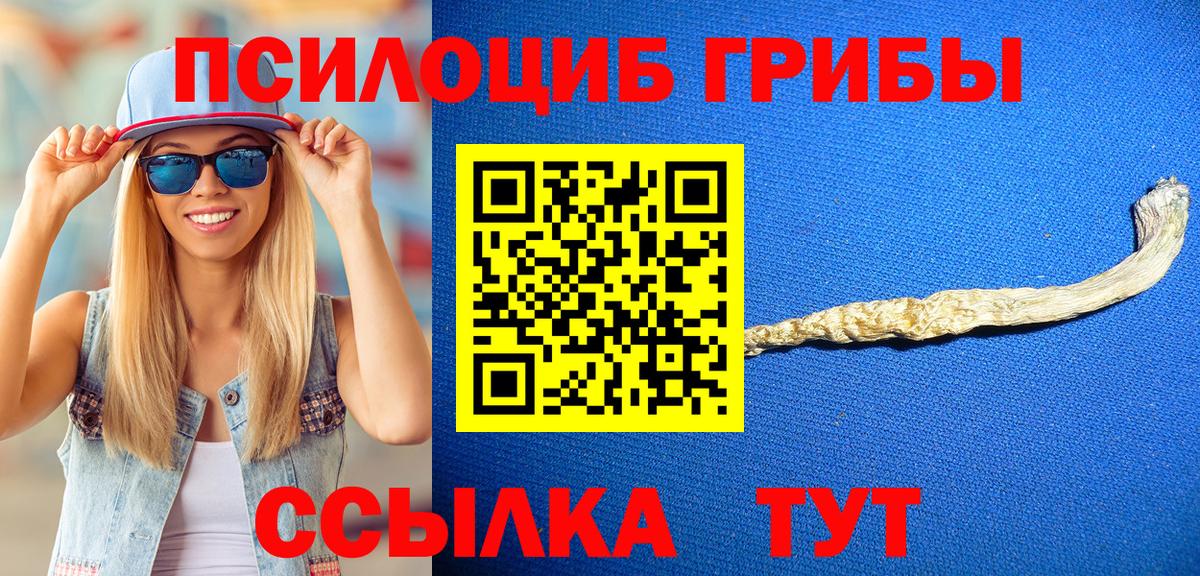 Галлюциногенные грибы MAGIC MUSHROOMS  цена наркотик  Коркино  Вход с VPN  Галлюциногенные грибы GOLDEN TEACHER 